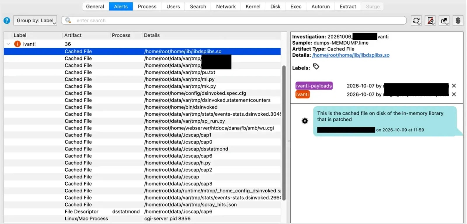 Exploit Tools and PCAP Files Recovered from Memory (source : Volexity )